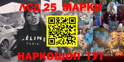 гашик Славгород