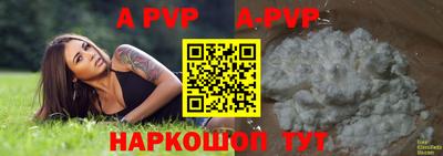 гашик Славгород